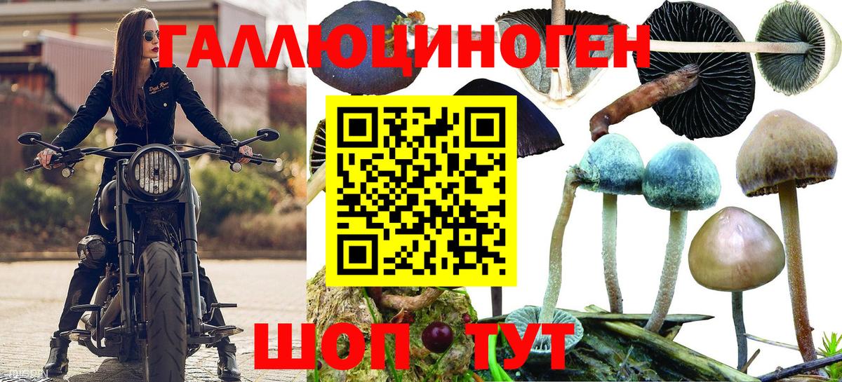 Галлюциногенные грибы Cubensis Татарск